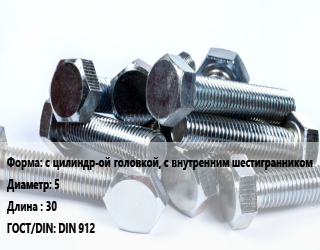 Болт с цилиндр-ой головкой, с внутренним шестигранником 5х30 DIN 912, цена за шт, кг цена По запросу где купить, условия доставки в Актобе и Актюбинской области